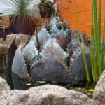 Agave Fountain 3' x 4' Copper and Bronze