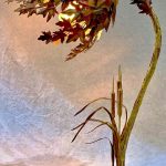 Detail of custom copper botanical wall art by metal artist Rhonda Kap